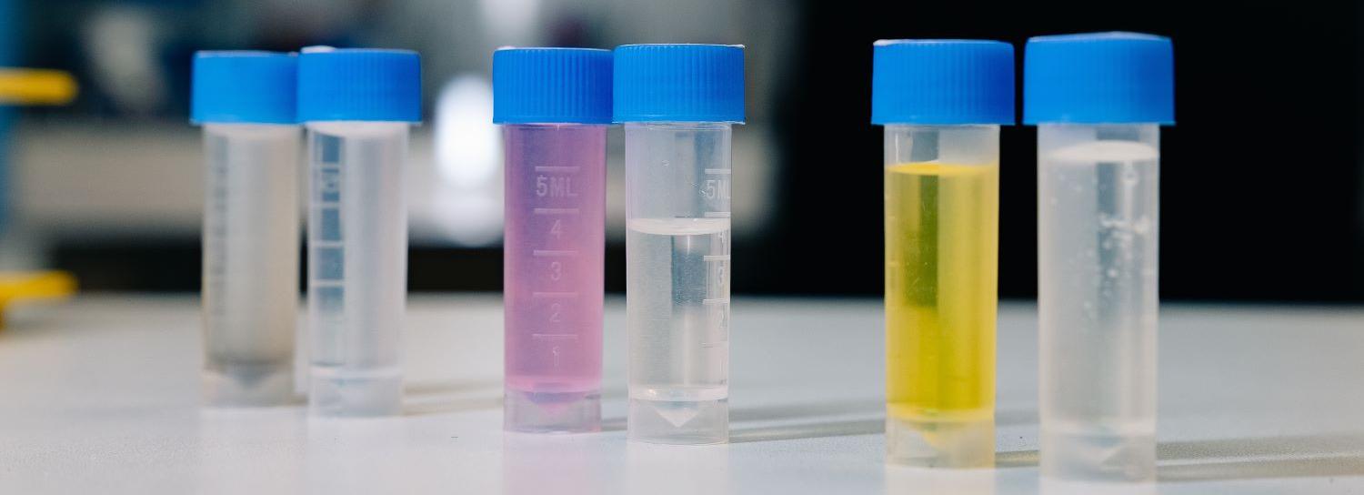 В НГТУ создали водоочиститель, после которого можно пить даже из луж