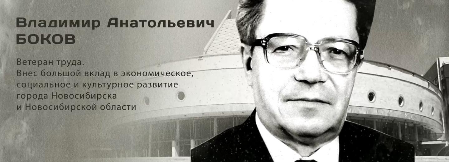 Гордость города: Владимир Анатольевич Боков