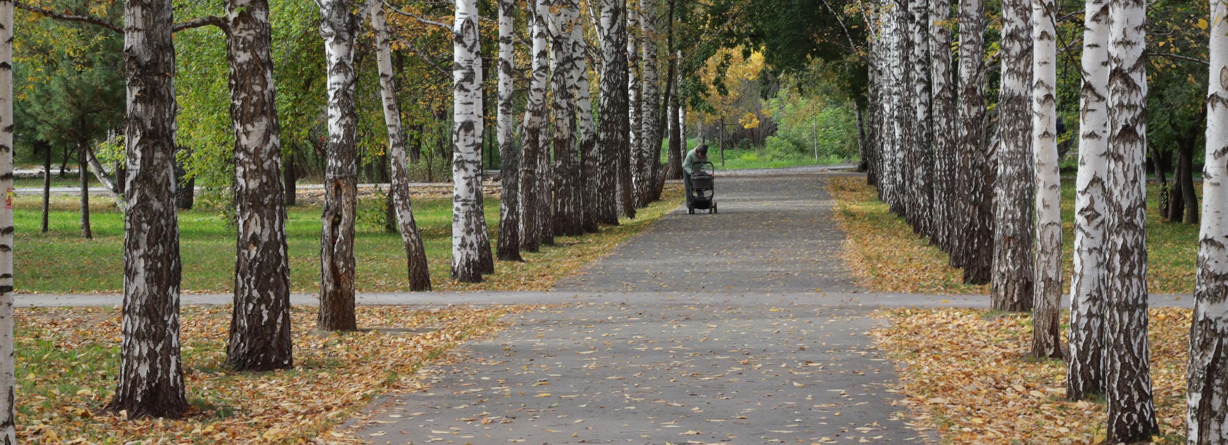Систему видеонаблюдения установят в сквере Сибиряков-Гвардейцев