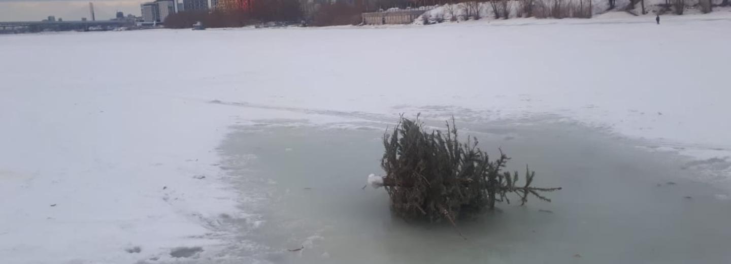 Шевелящаяся посреди Оби ёлка заставила сибирячку вызвать спасателей