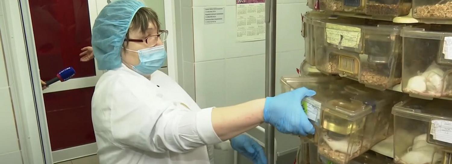 «Львиное сердце» помогает биологам следить за эмбрионами мышей