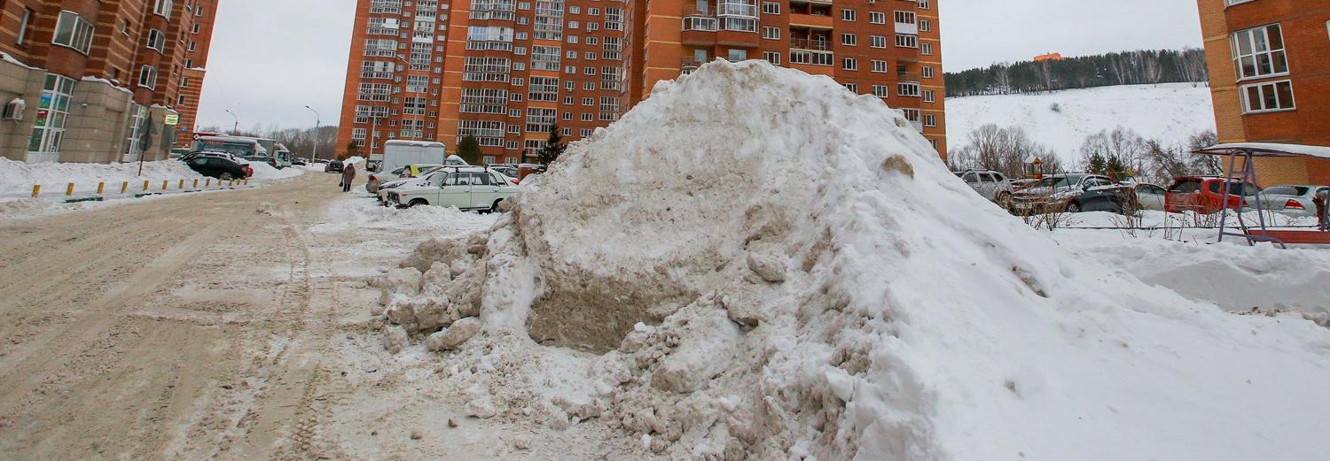 Идём на рекорд: синоптики измерили высоту сугробов в Новосибирске