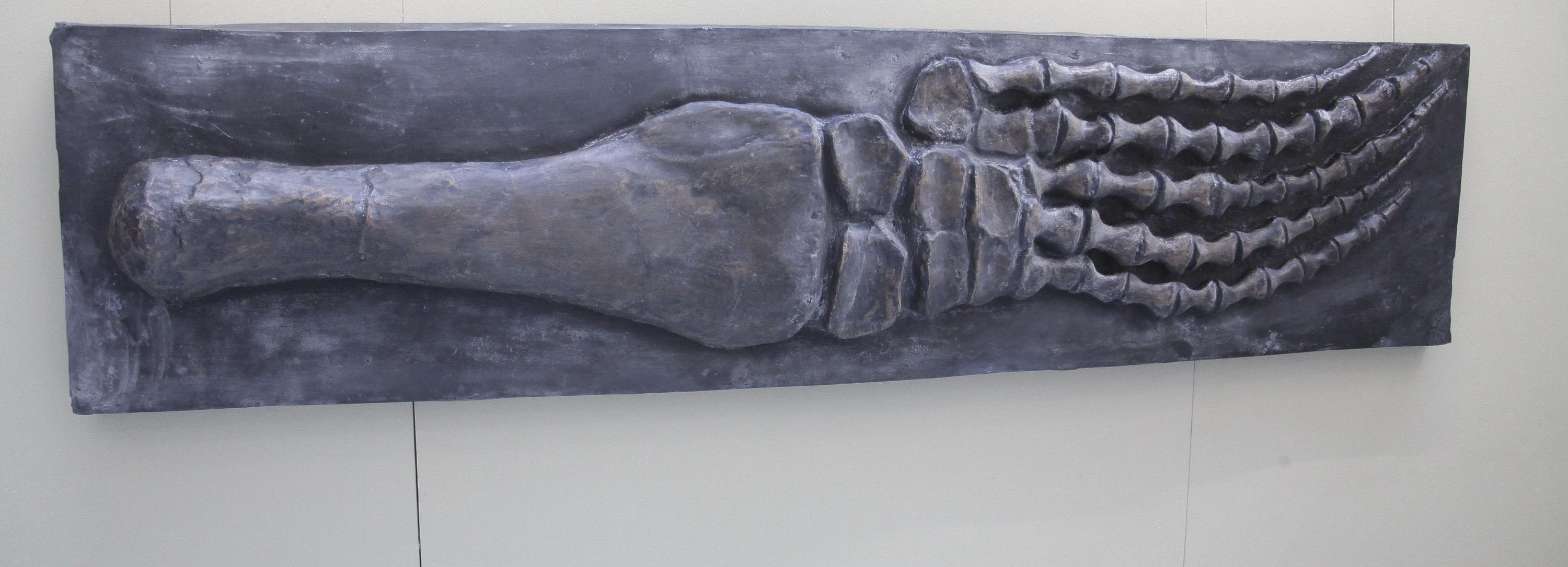 Меню неандертальца: чем питались 60 тысяч лет назад жители Сибири