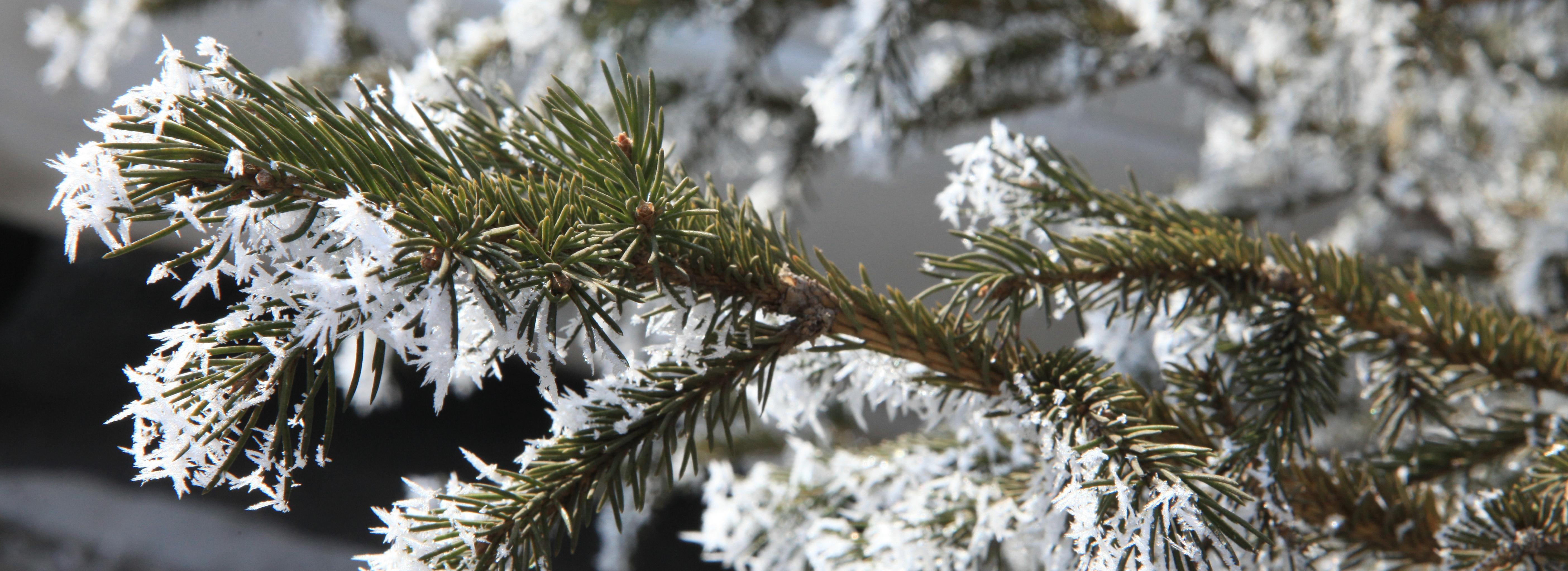 Стихи о зиме в исполнении детей прозвучат из колонок в городских парках