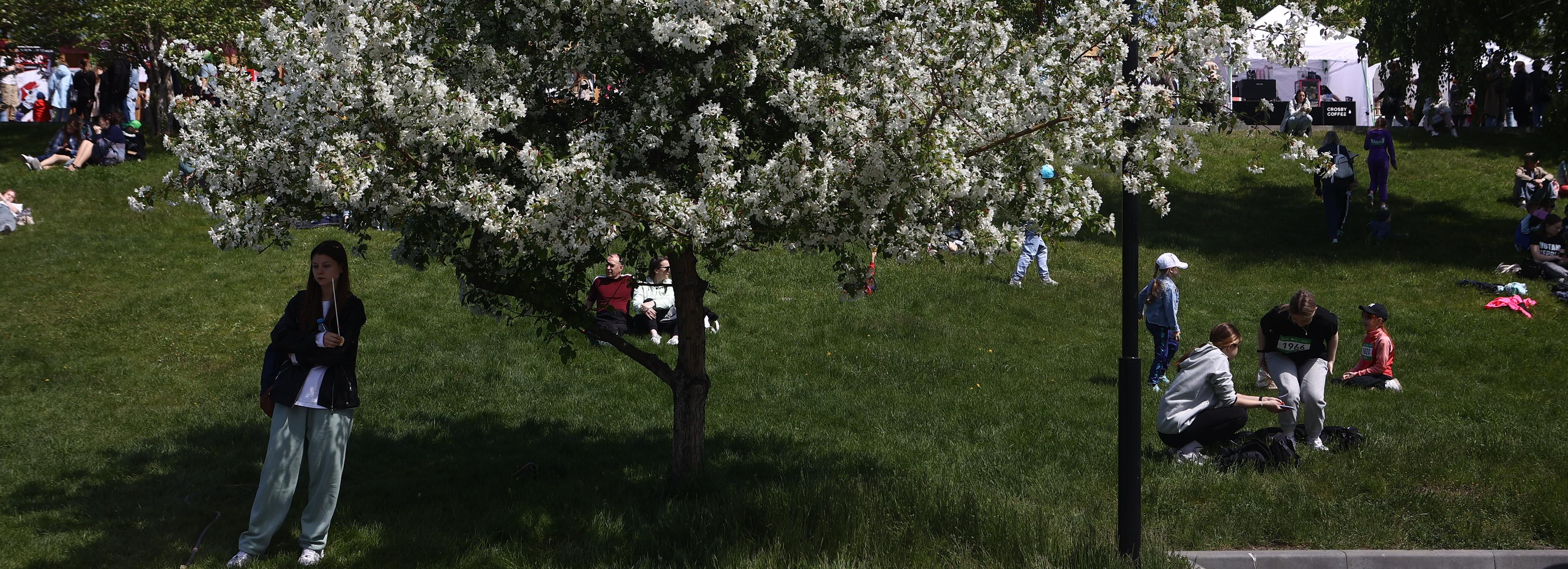 Новая волна жары накроет Новосибирск к выходным
