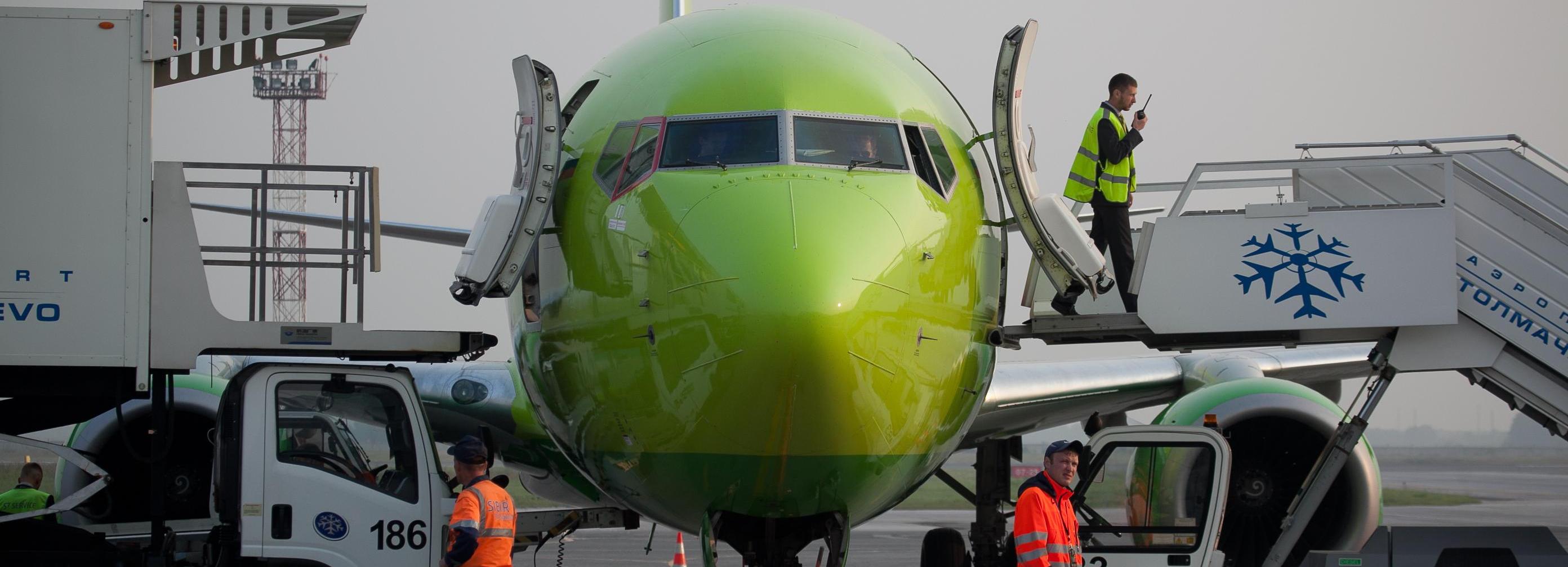 Правила перелёта пассажиров с собаками-поводырями изменила S7