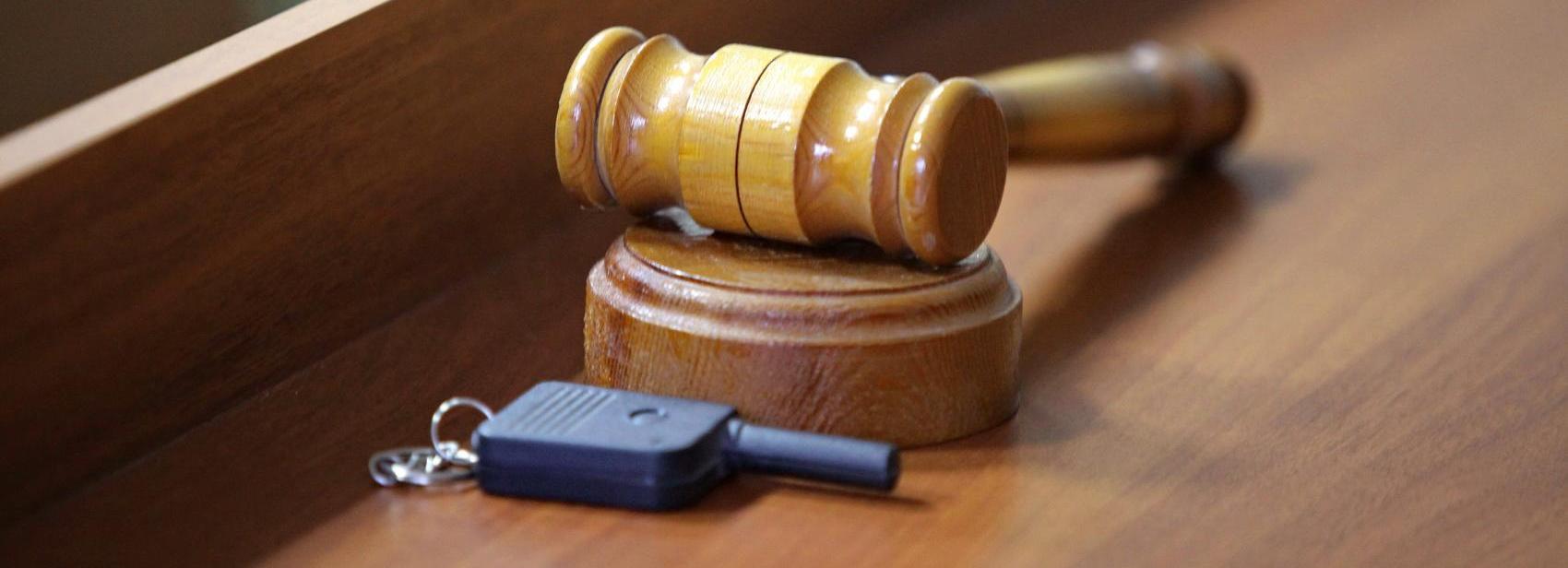 Землю в Академгородке и Первомайке продаст с аукциона ДОМ.РФ