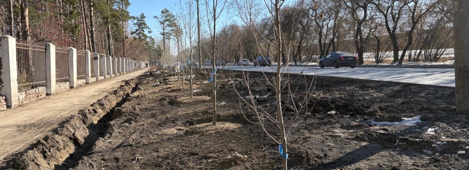 Больше 3000 деревьев и кустарников высадили в Первомайке за сезон