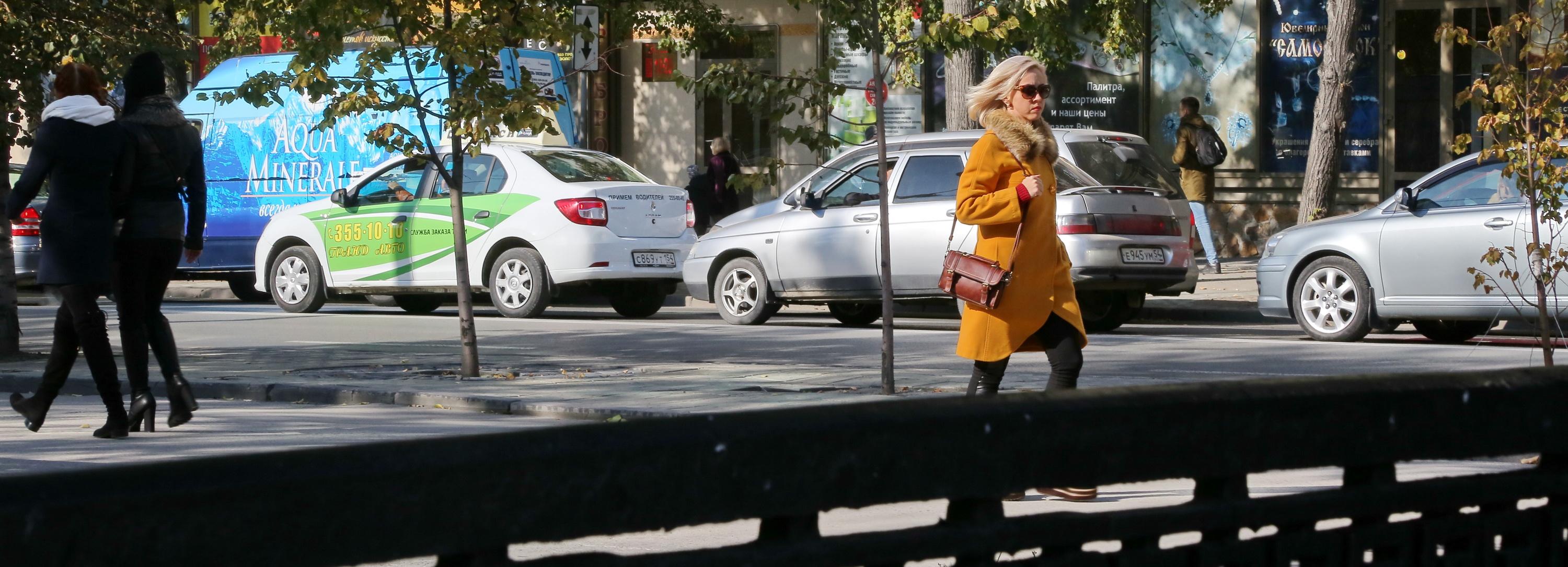 В Новосибирск на пару дней вернётся тепло