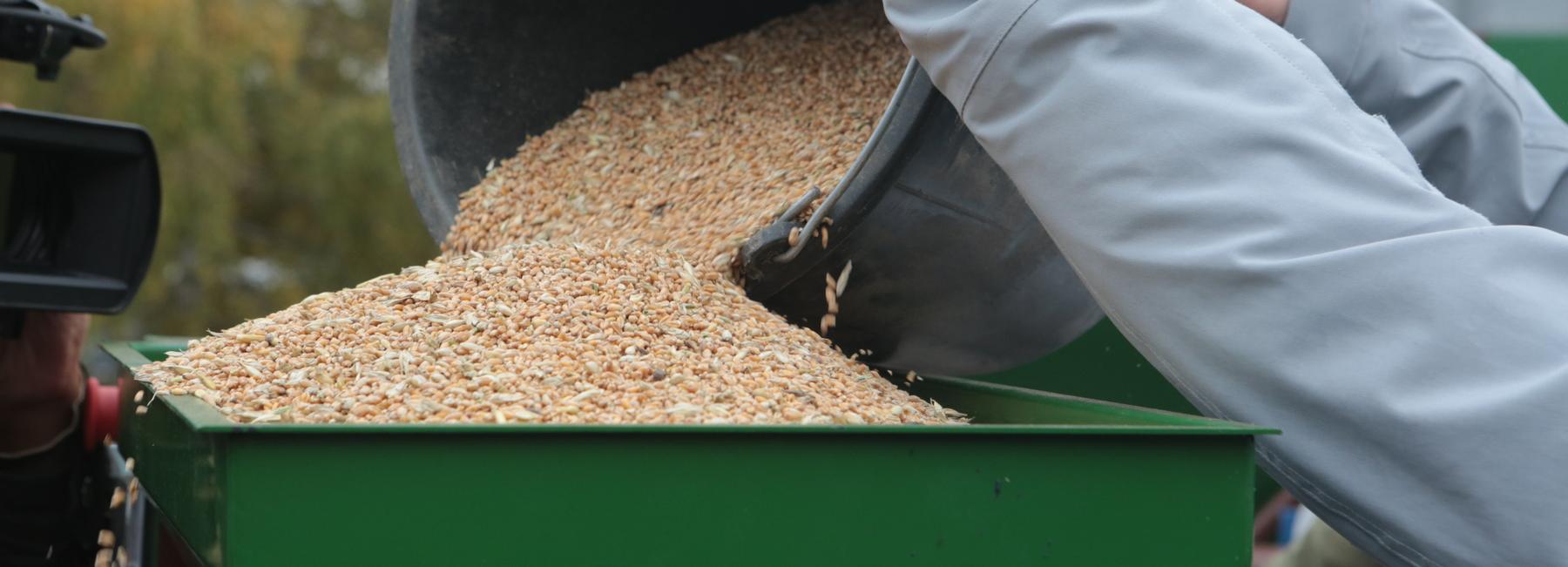 Элеваторный комплекс за 4,7 млрд построят в Новосибирской области