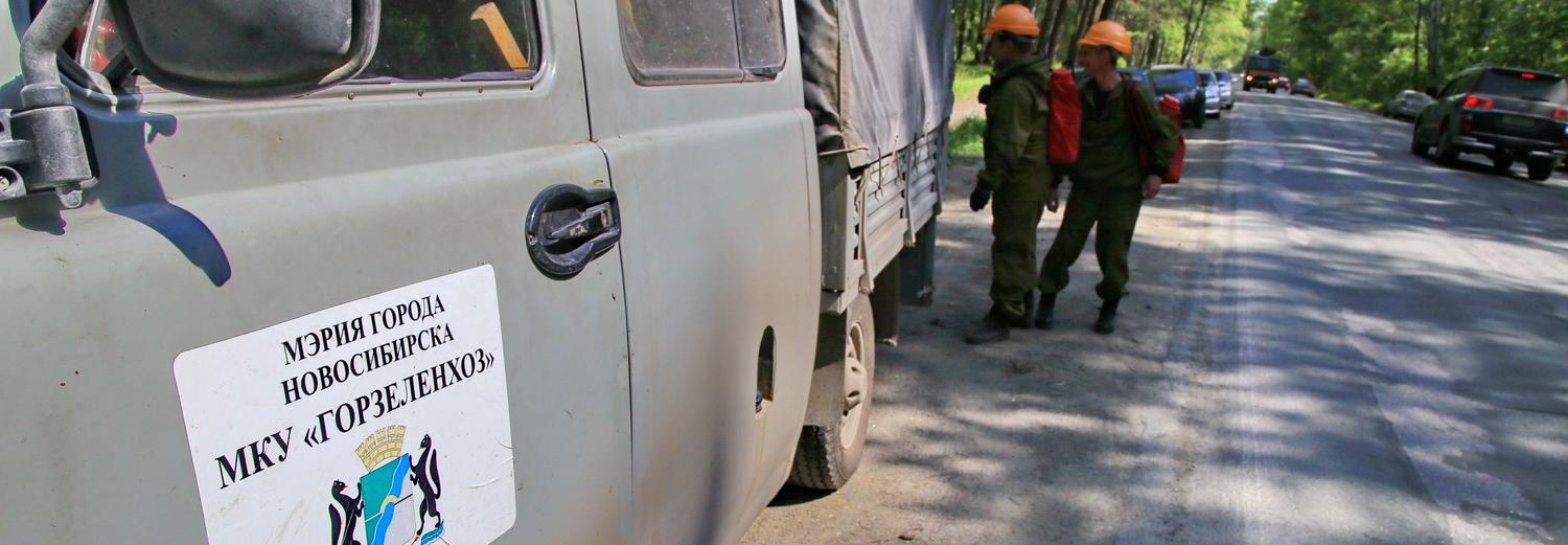 Лесные пожары: как их отслеживают и тушат в Новосибирске