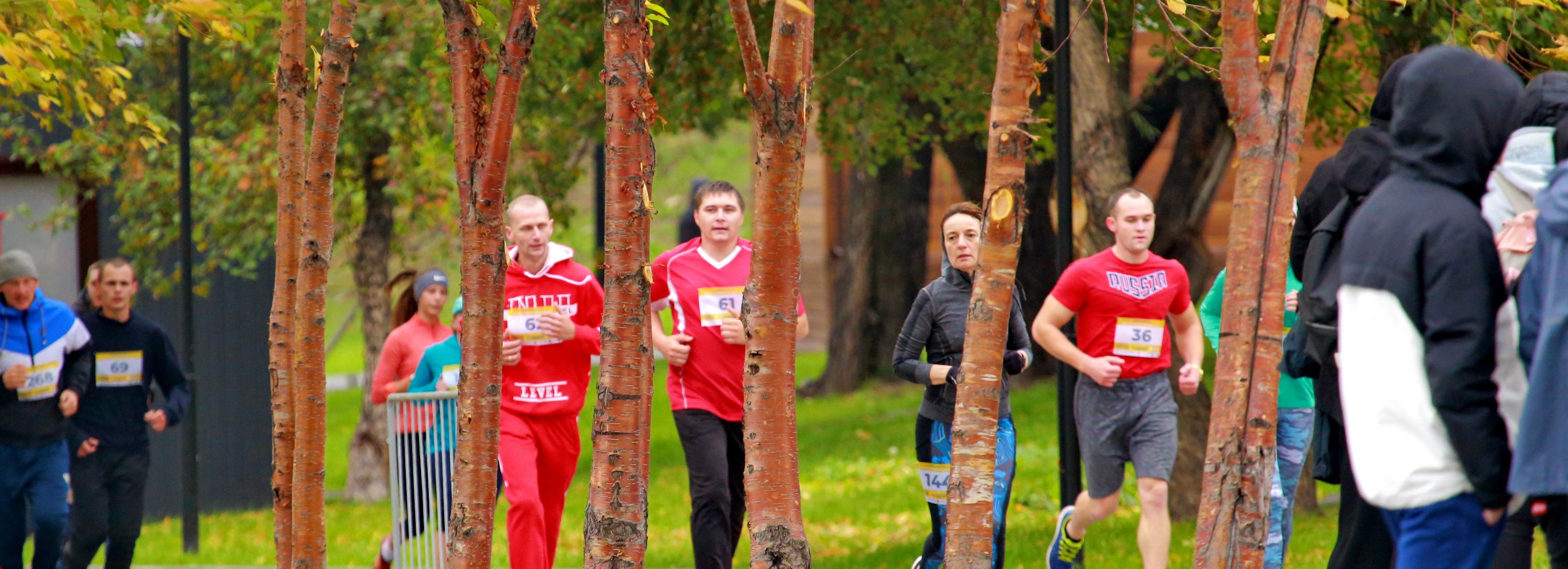 Деньги в поддержку сирот соберут на забеге в Заельцовском бору