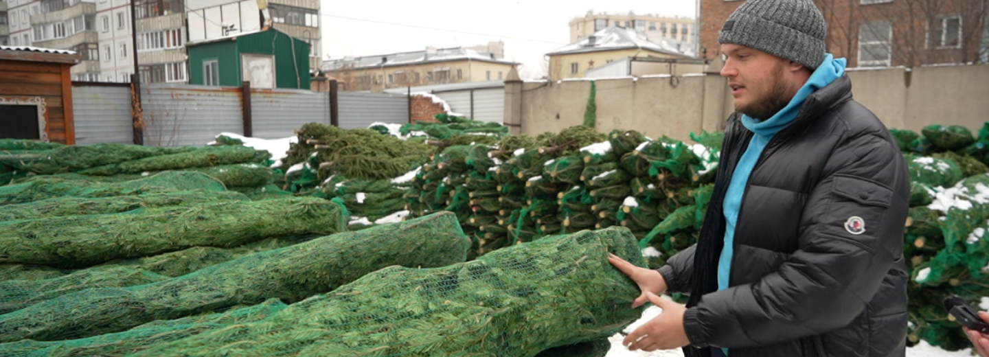 Первые ёлочные базары: кузбасские пихты привезли в Новосибирск