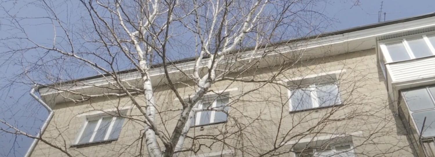 Сезон аллергии начинается в Новосибирске