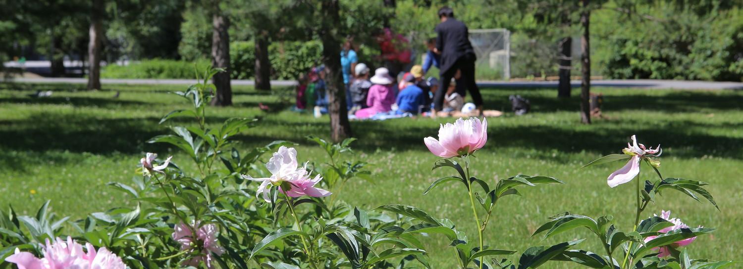 Сквер на Демакова: как преобразится пустырь этим летом