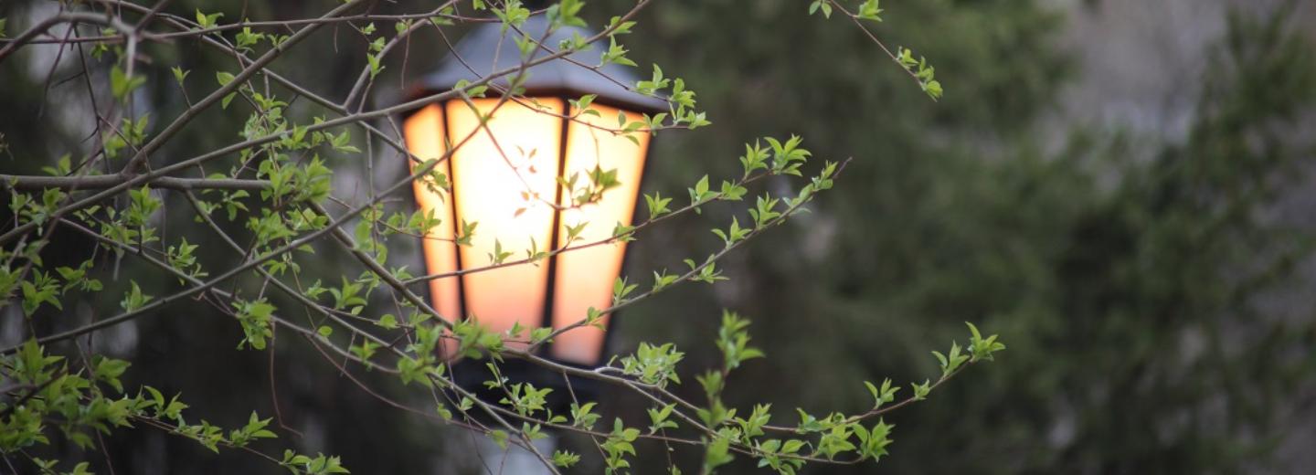 Самая короткая ночь в году ждёт новосибирцев 21 июня