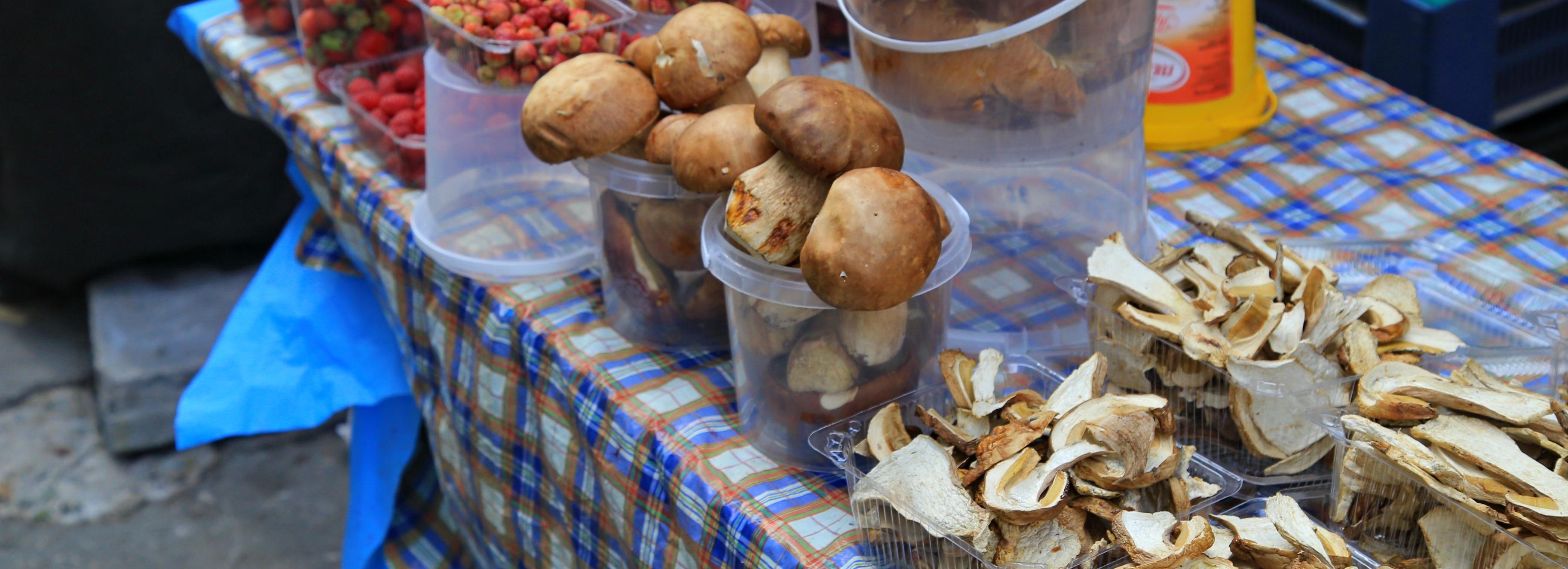 Новосибирцев предупредили о токсичных грибах возле дорог и заводов