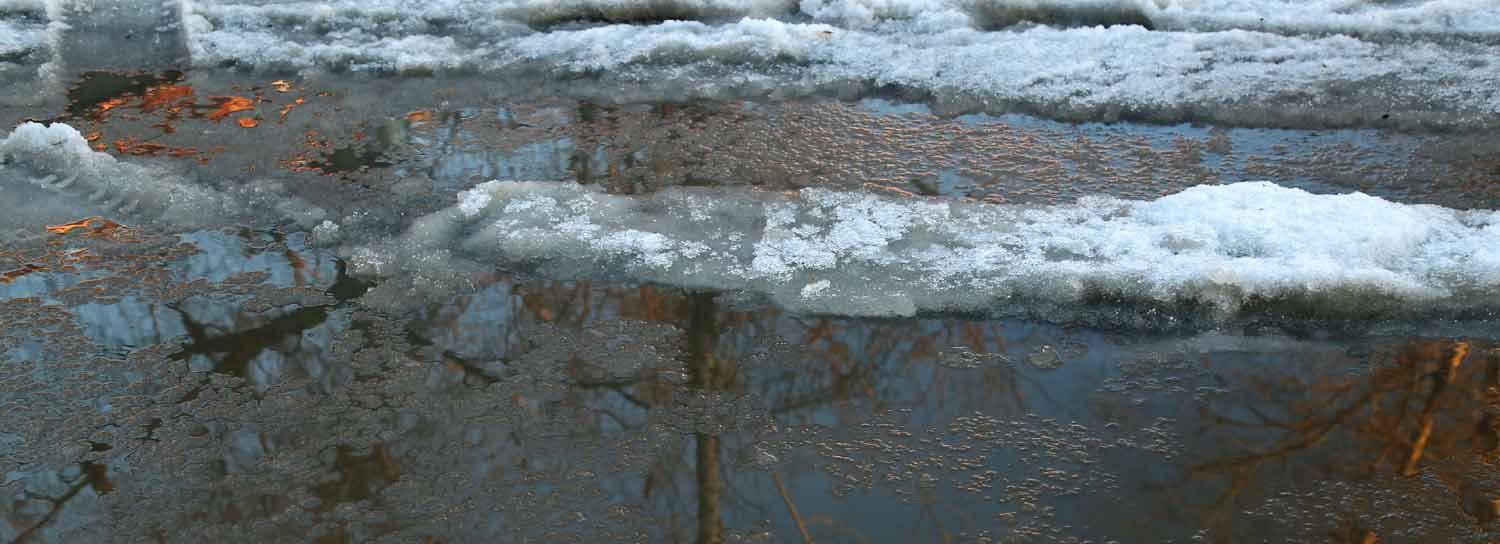 400 дач может затопить паводком в Новосибирске