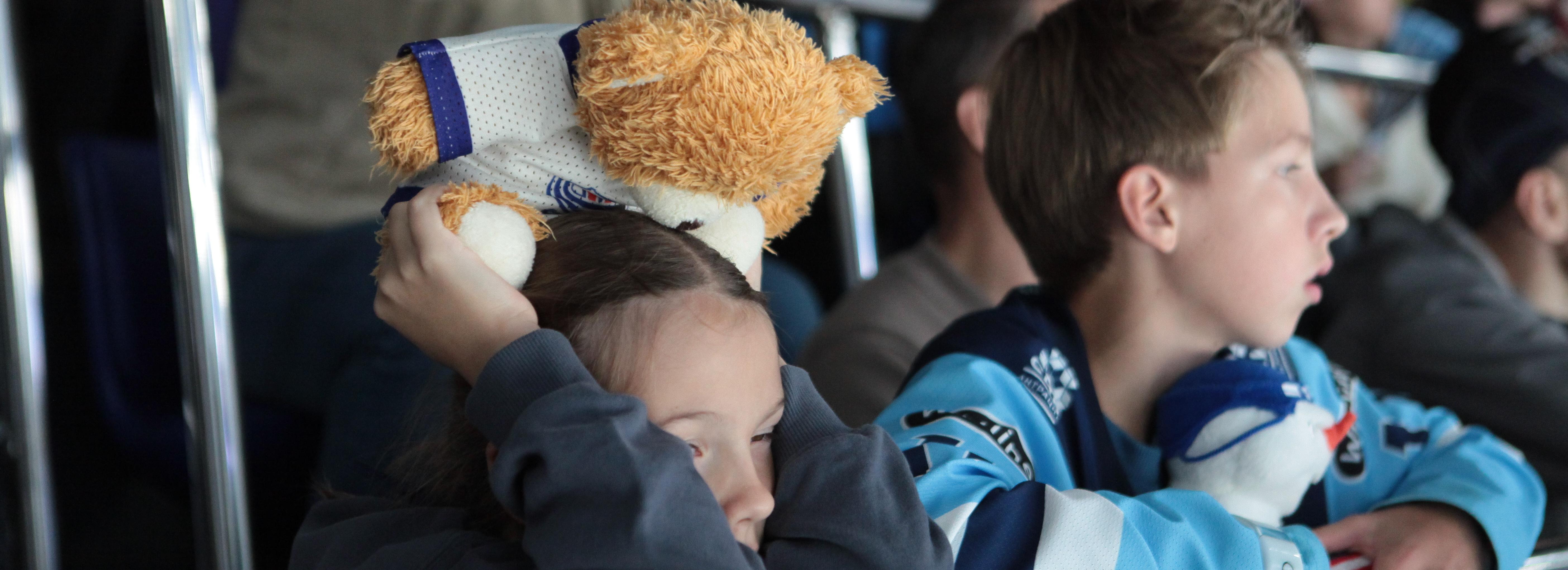 На зооматче хоккейной «Сибири» соберут пледы и игрушки для животных