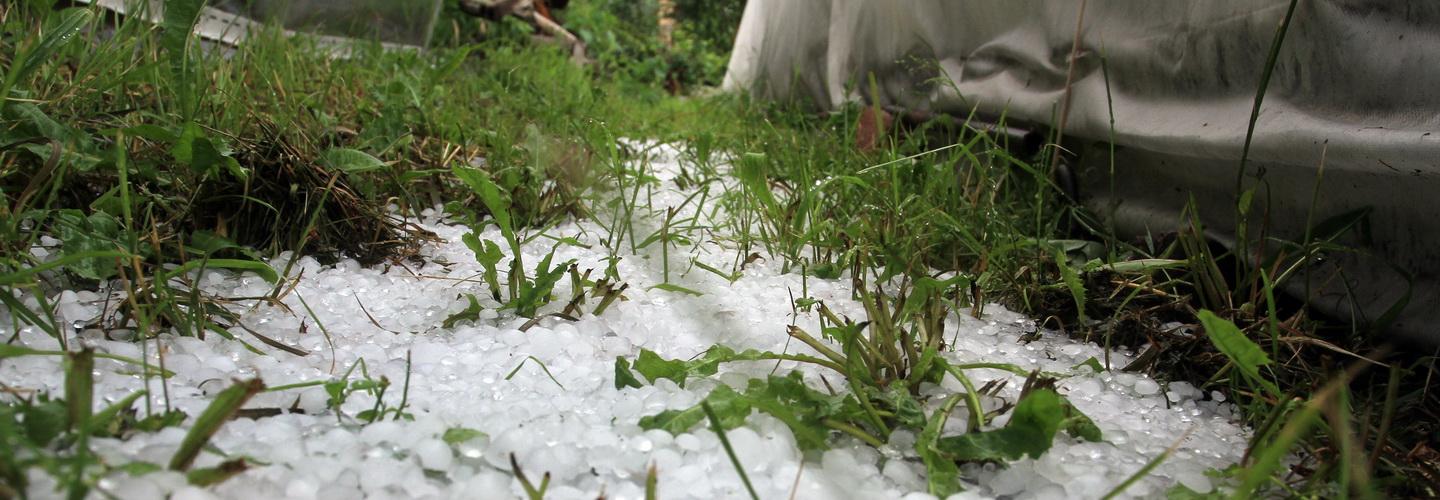 Грозу с градом на выходных пообещали новосибирцам синоптики