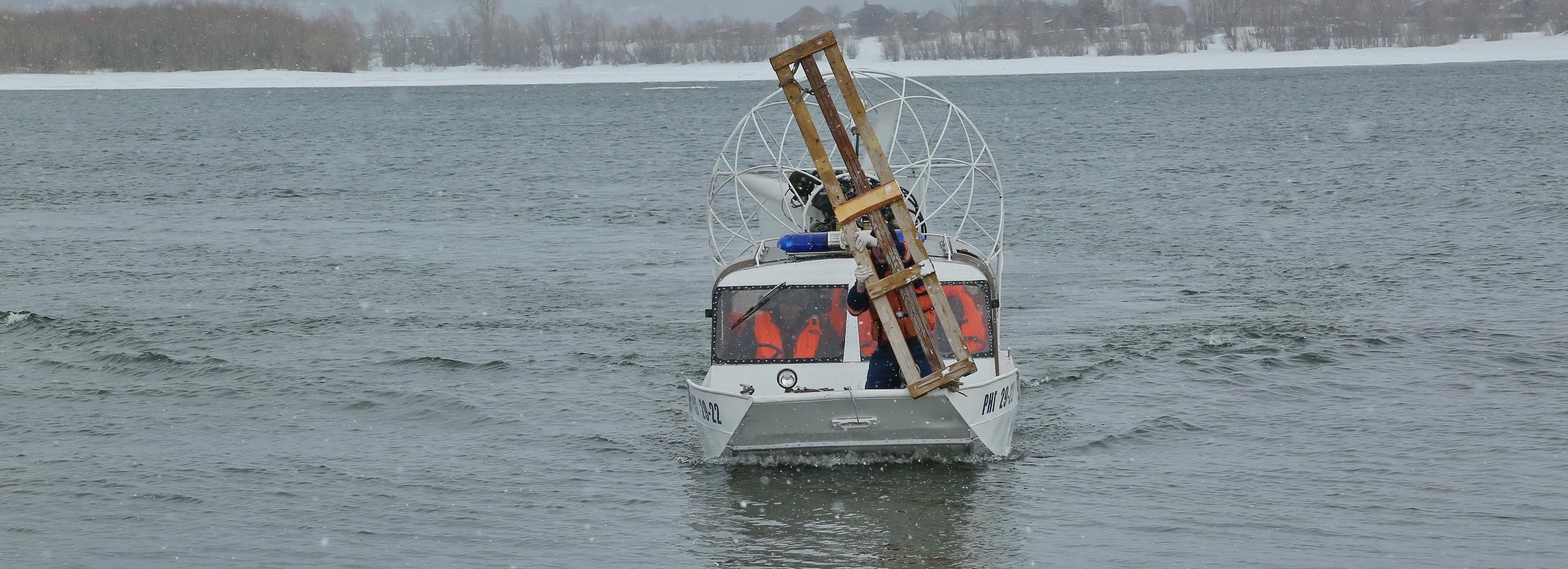 Три собаки застряли на острове Кораблик: удивительная история их спасения