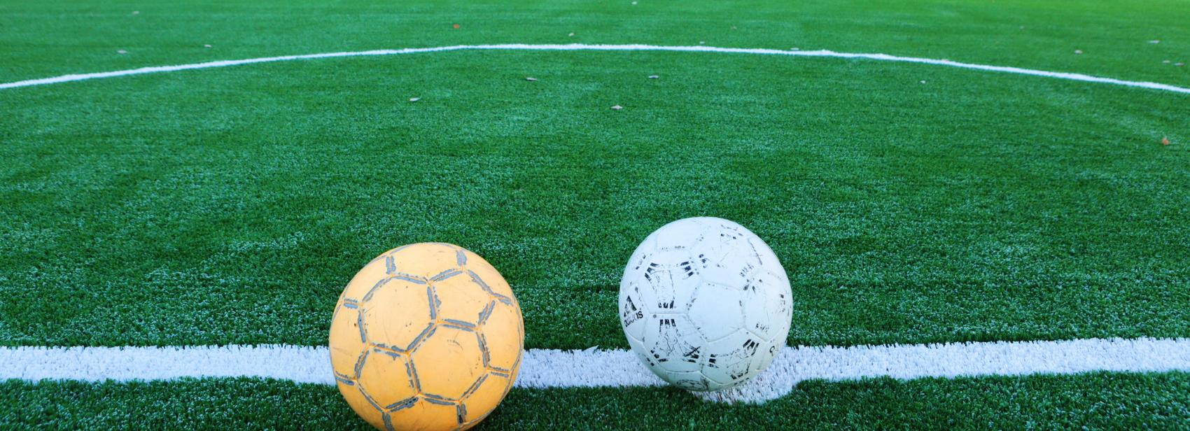 Футбольный клуб «Новосибирск» сменит название до 1 июля