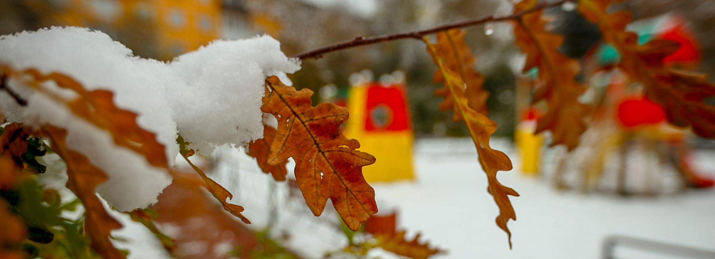 Именами прославленных новосибирцев назвали три улицы в Клюквенном