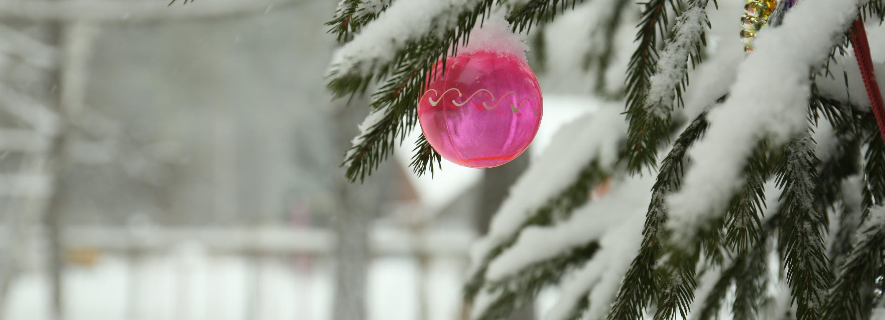 Без салюта, но с музыкой отметят Новый год в Новосибирске