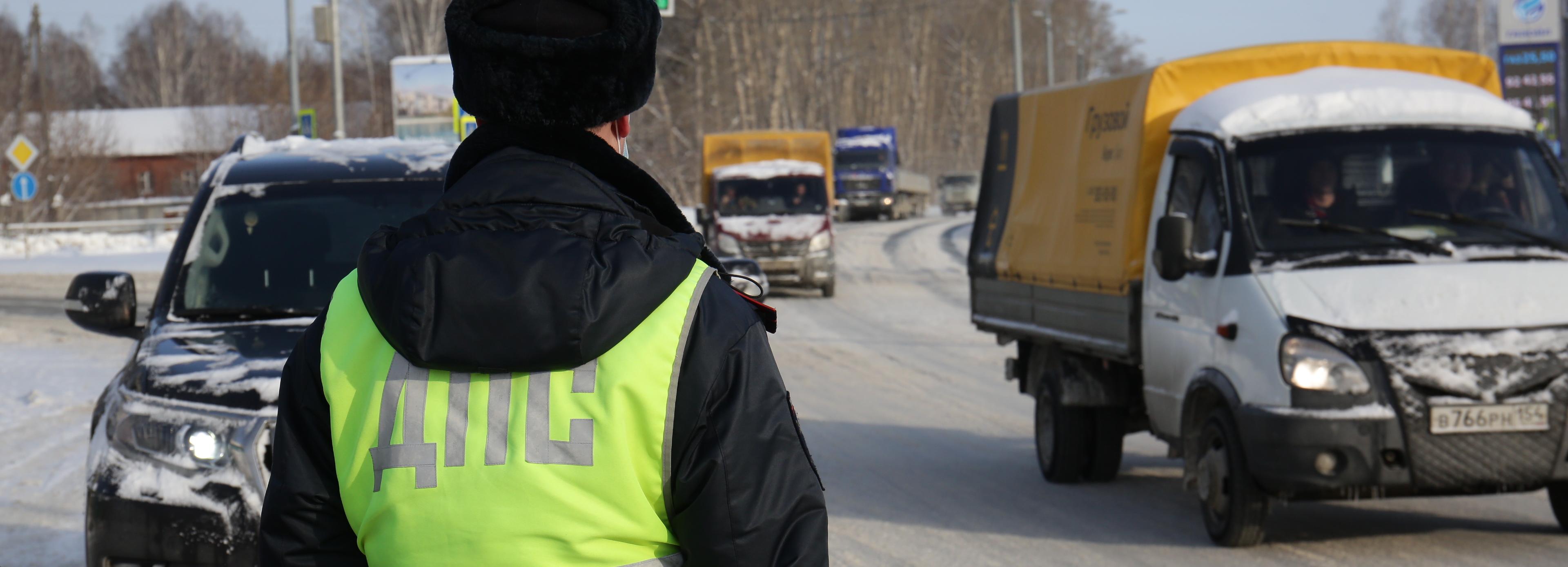 Лосиха погибла в ДТП с тремя автомобилями под Новосибирском