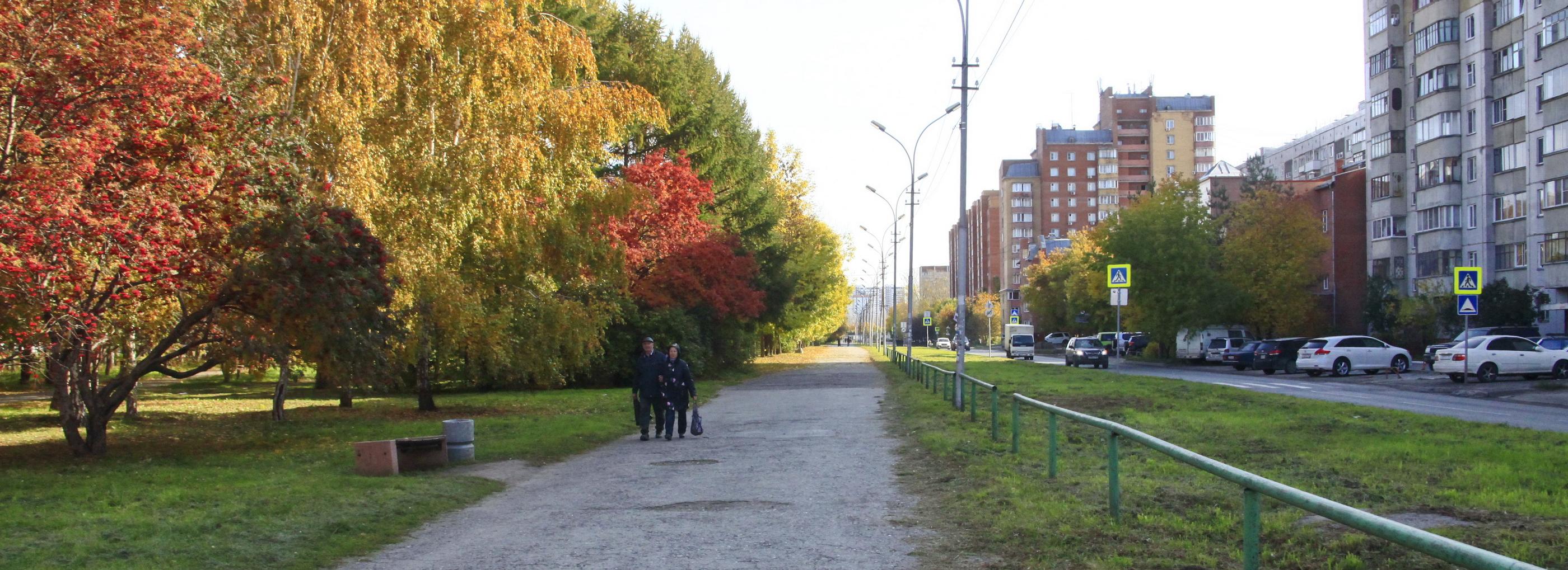 Новые фонари заказали для аллеи на улице Петухова в Новосибирске