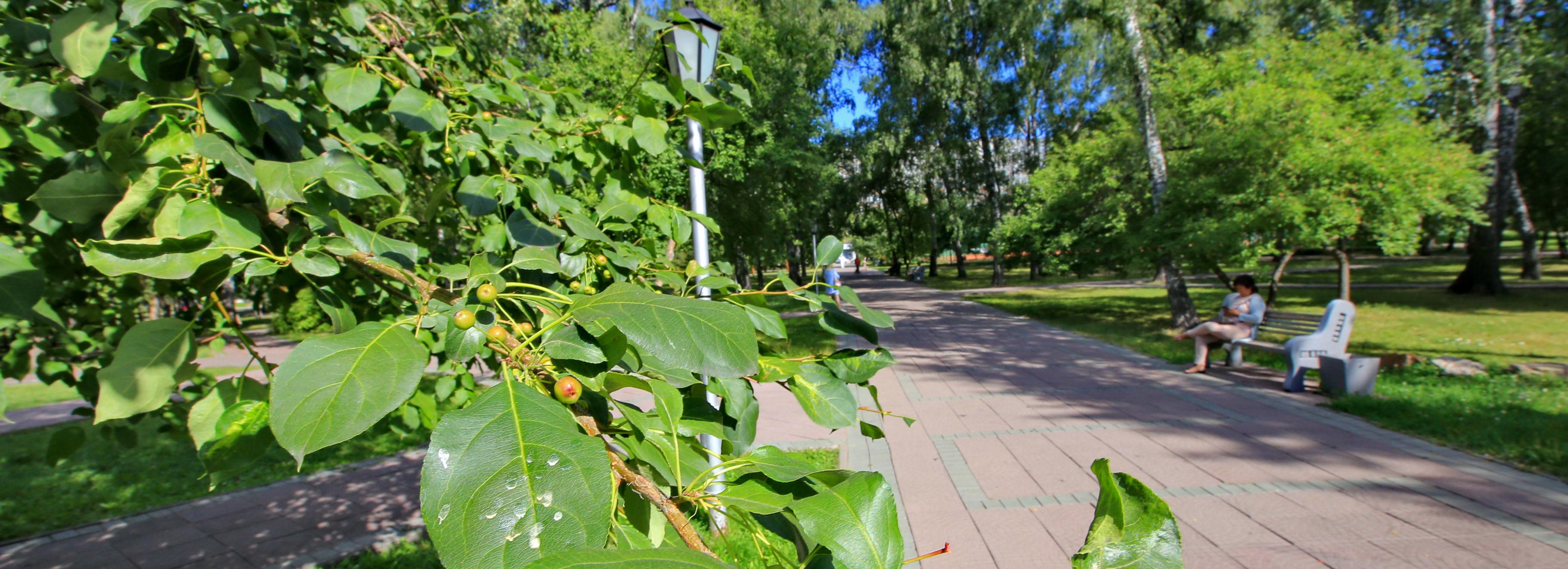 Травников потребовал жёстче контролировать благоустройство парков