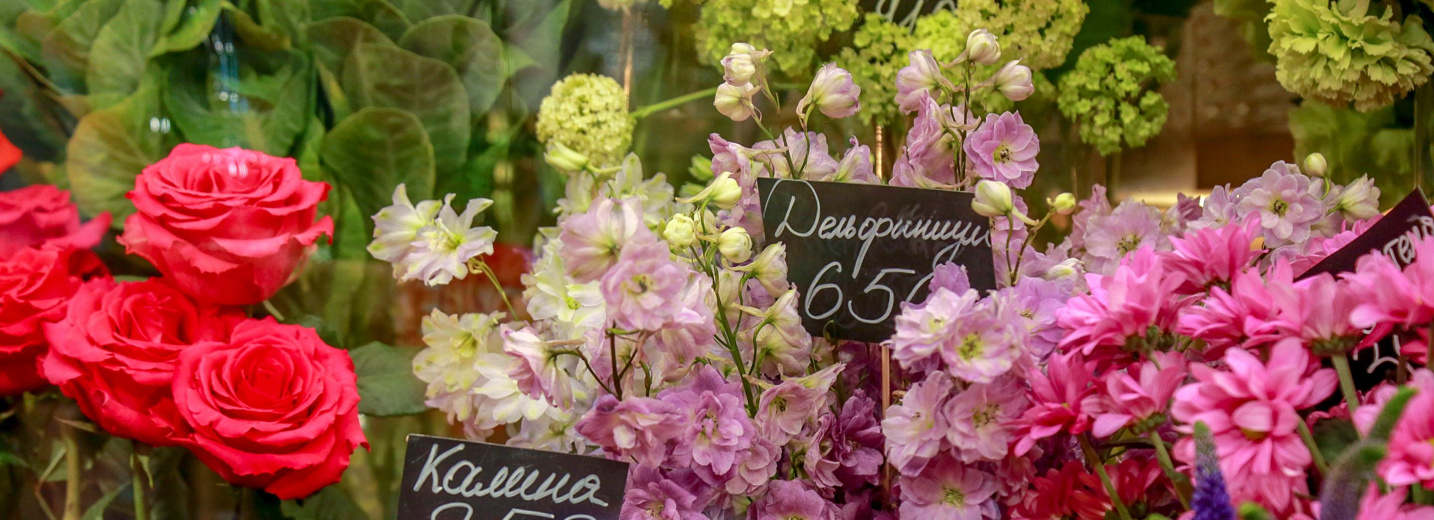 Ввезённые из Китая эустомы с белокрылкой сожгут в Новосибирске