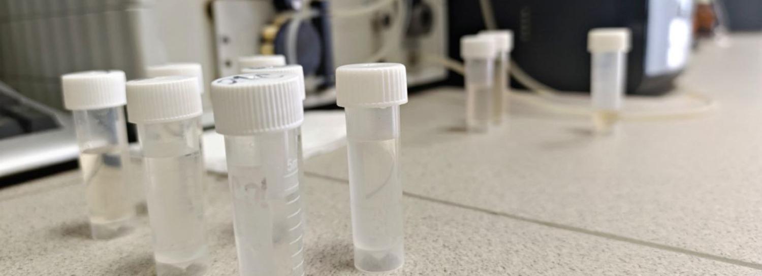 Новосибирские учёные предложили очищать водоёмы лузгой гречихи