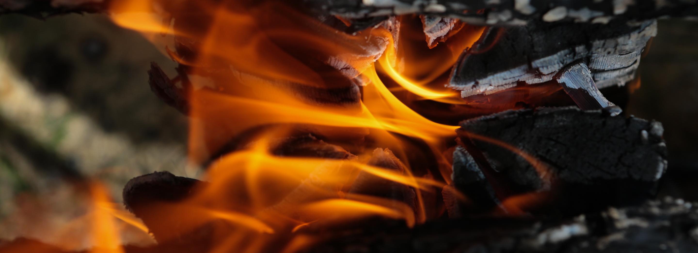 Двое мужчин и женщина погибли на пожаре в Новосибирской области