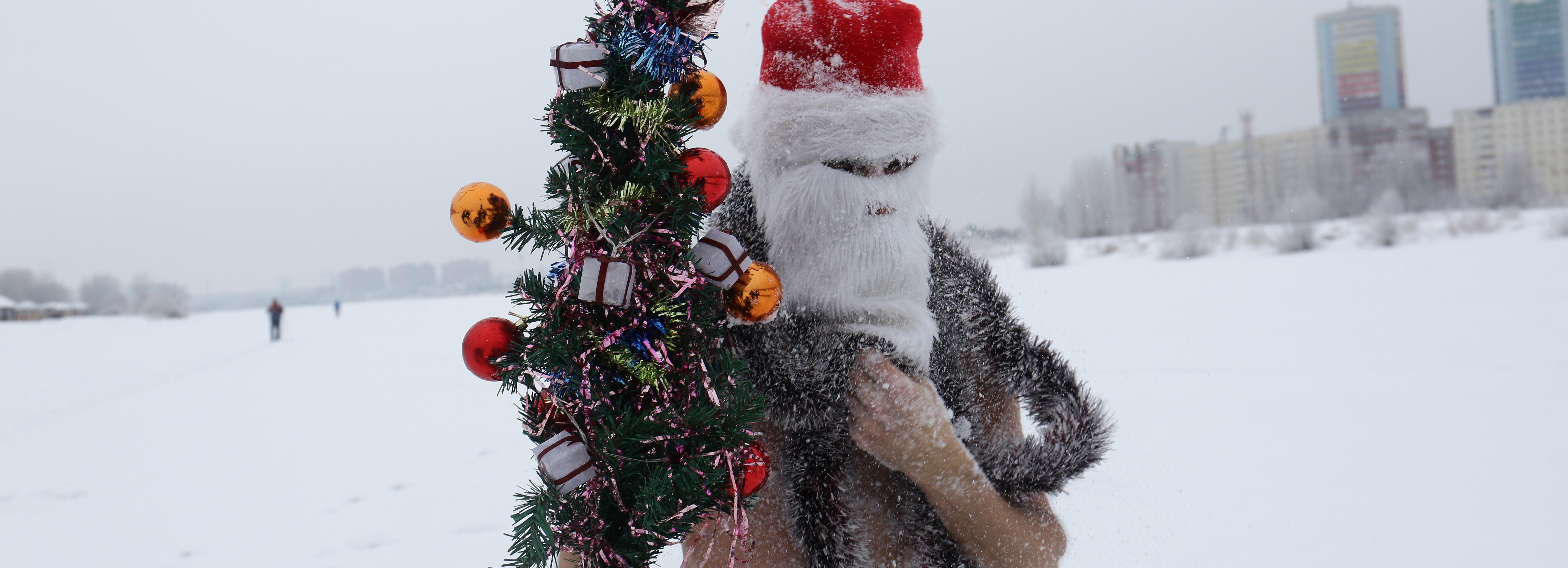 Сколько стоит заказать Деда Мороза на дом в Новосибирске