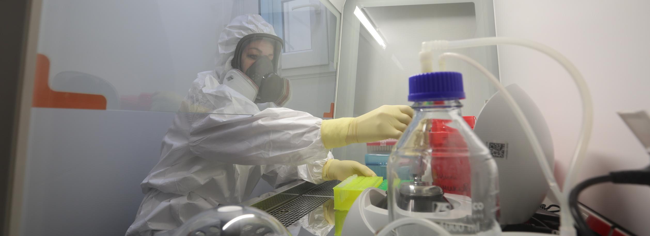 Роспотребнадзор изучает новый коронавирус из Бразилии — опасен ли он