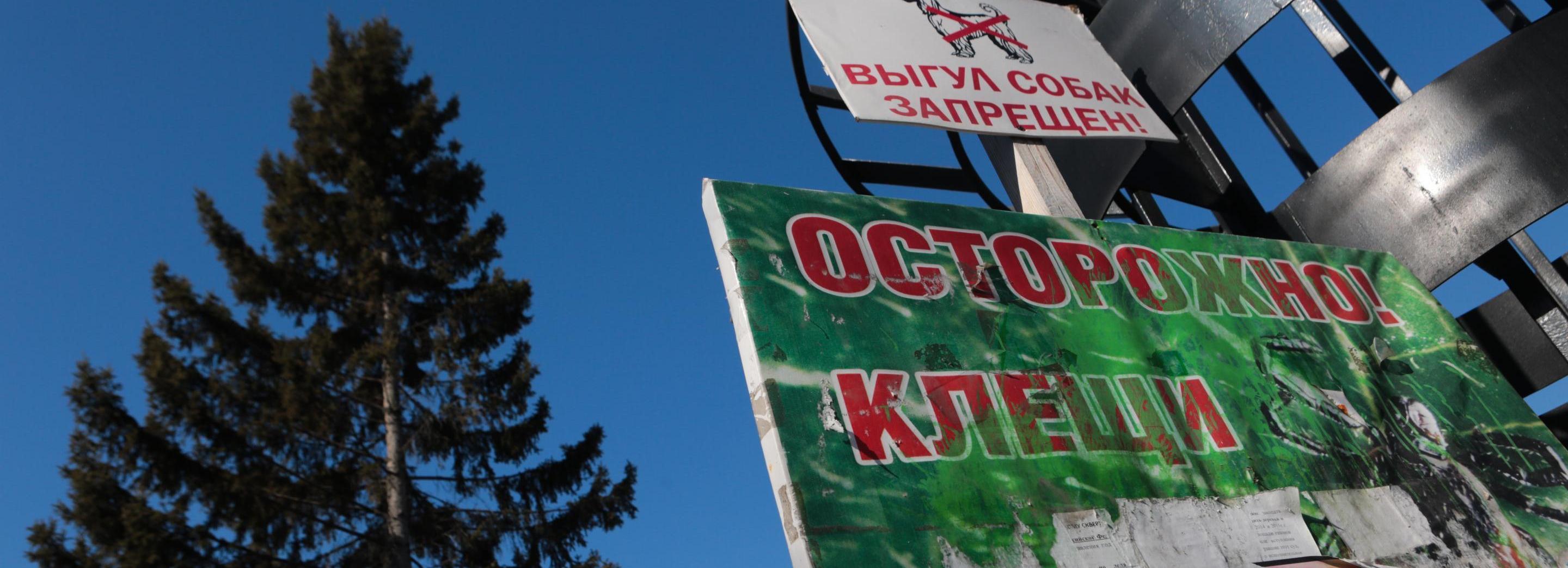 Один человек умер от клещевого энцефалита в Новосибирской области