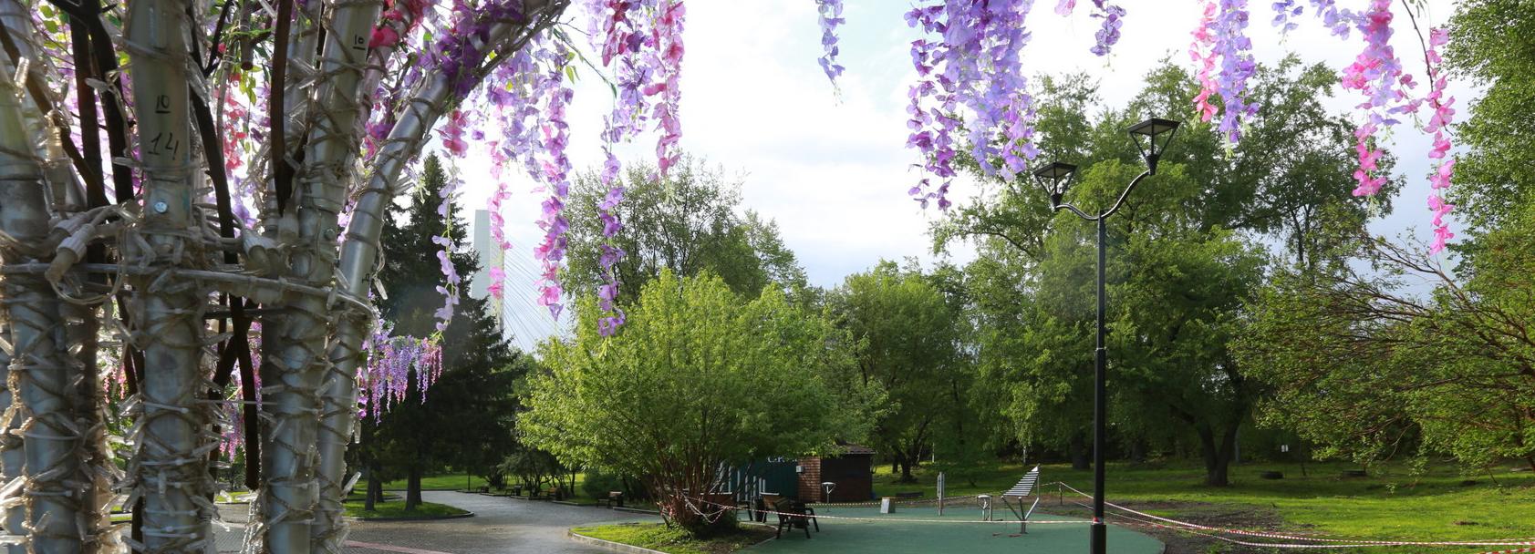 В новом выпуске «Зелёный Новосибирск» урбанист оценила парк «Арена»