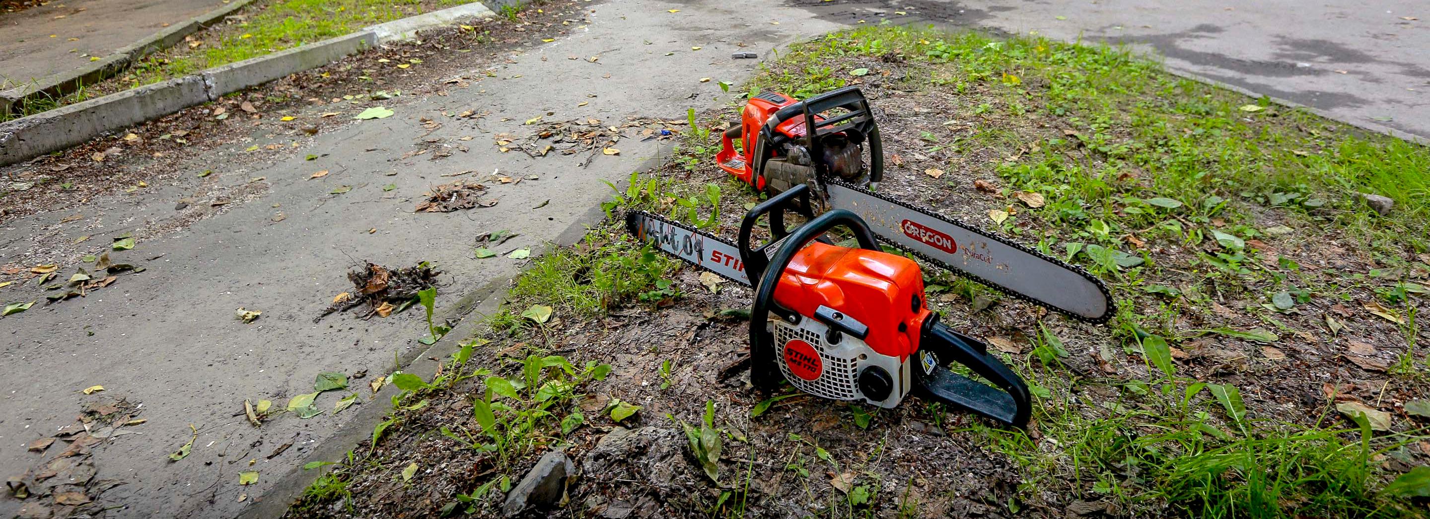 Списки улиц для реконструкции газонов представили мэру Кудрявцеву