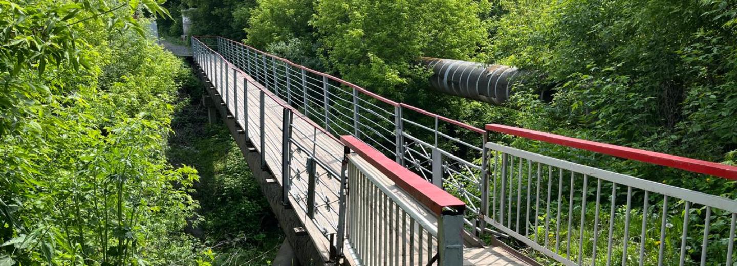 Новый пешеходный мост через реку Тулу начнут строить в следующем году