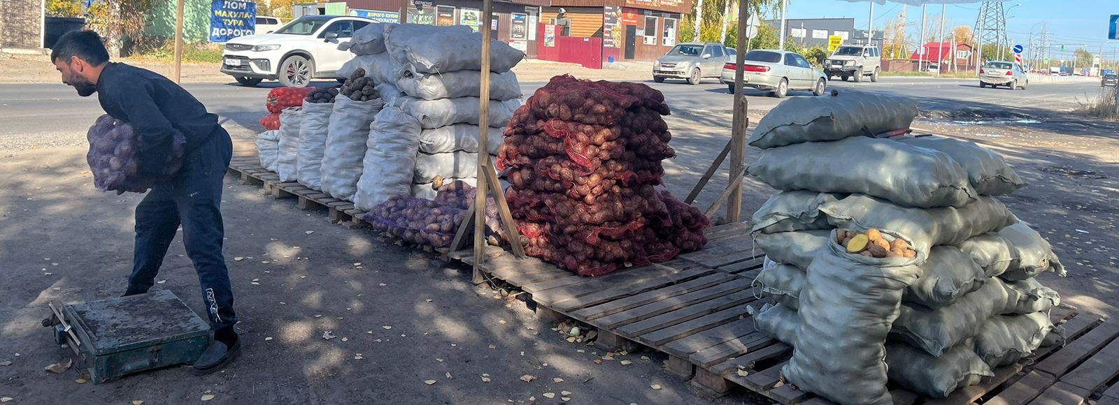 Нелегальную продажу картошки остановили рядом с Дивногорским