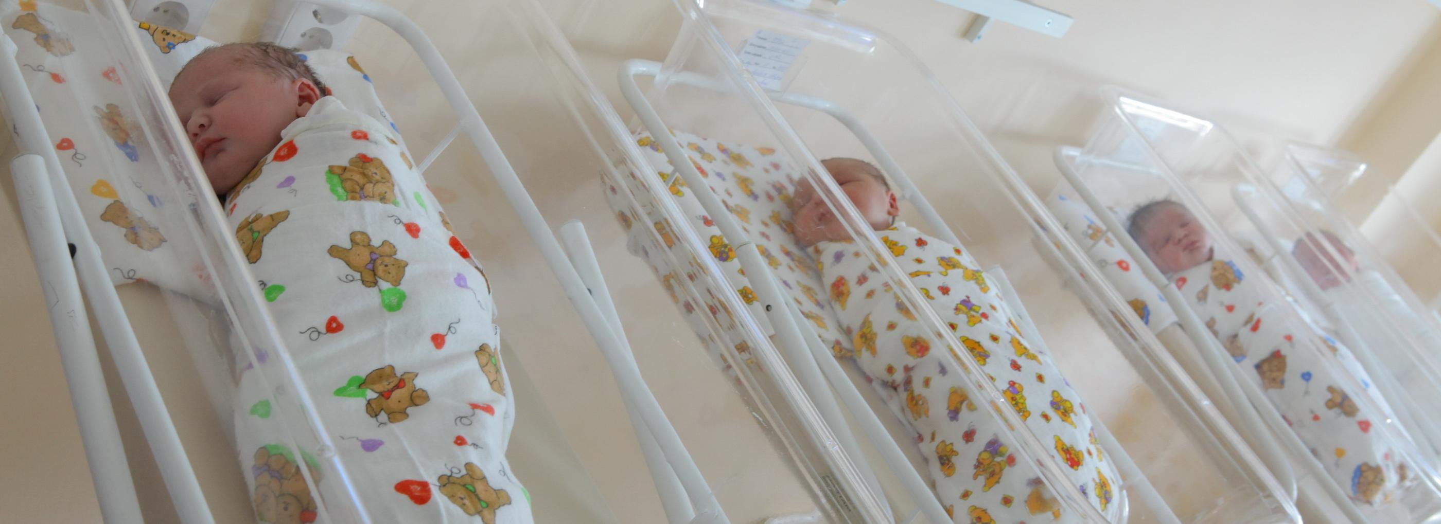 Четыре причины падения рождаемости в Новосибирске назвала профессор НГУЭУ