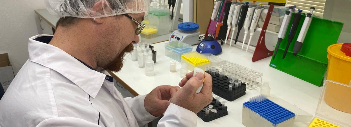 Реагенты для ранней диагностики рака разработали в Новосибирске