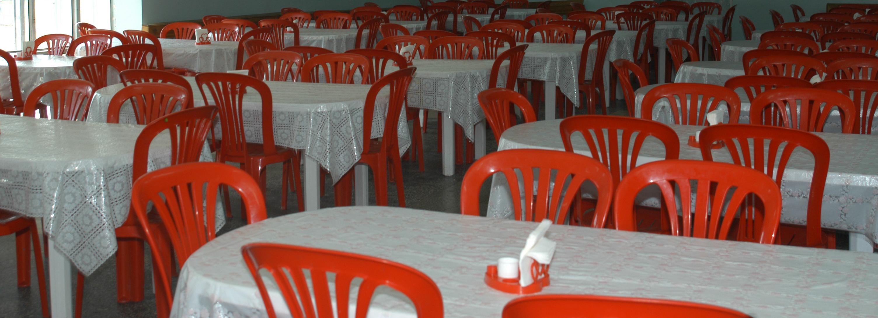 Из-за розовой курицы проверяют детский лагерь под Новосибирском