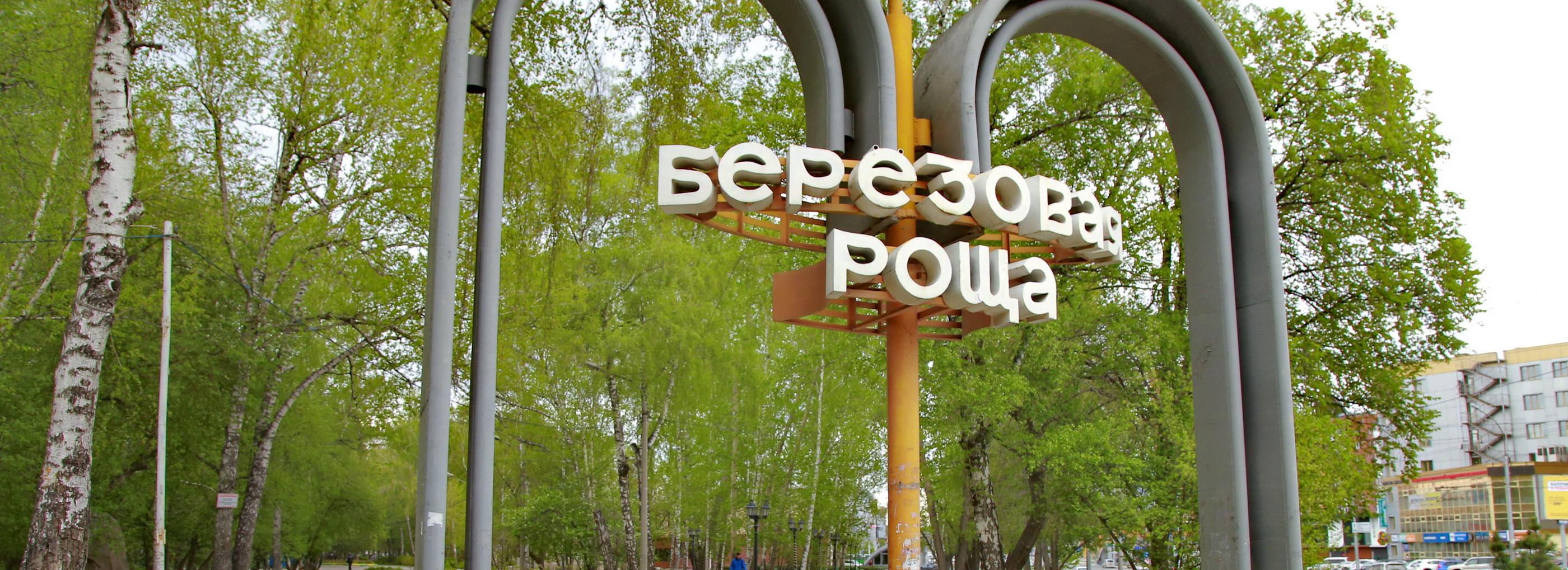 Обсуждение дизайн-проекта Берёзовой рощи продлили до 1 августа