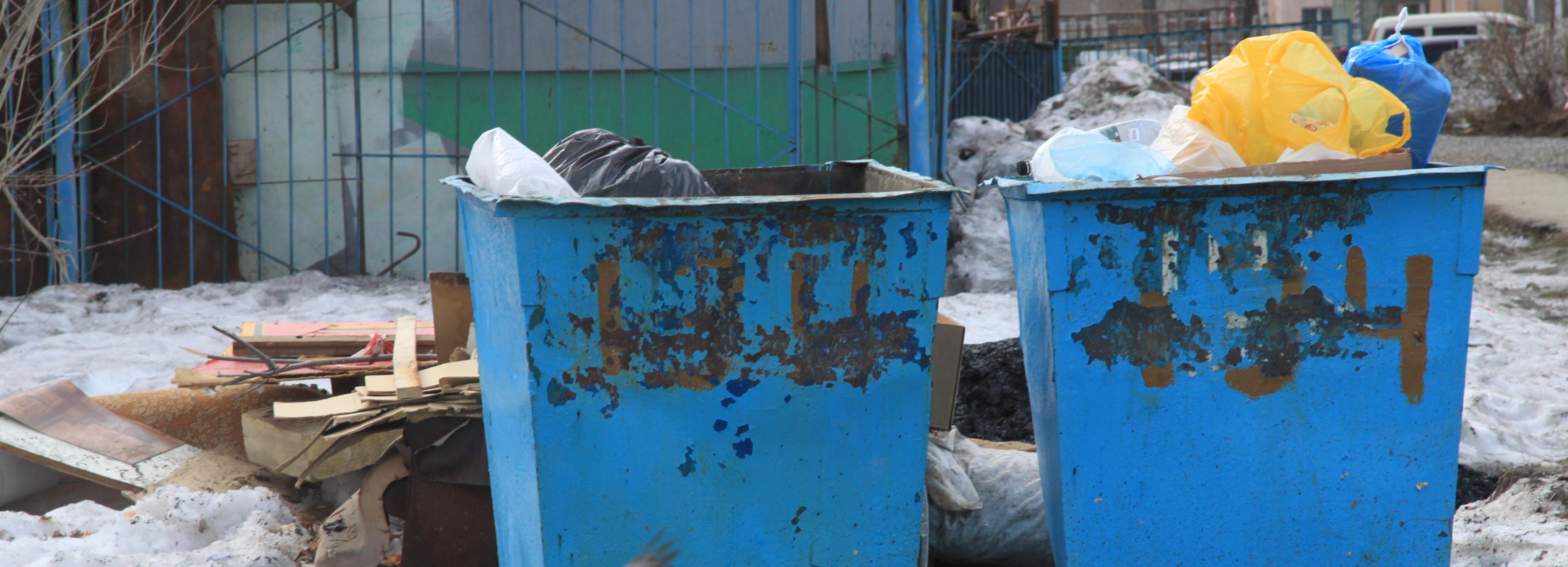 Два десятка мусоровозов сошли с линии в Новосибирске в 32-градусный мороз