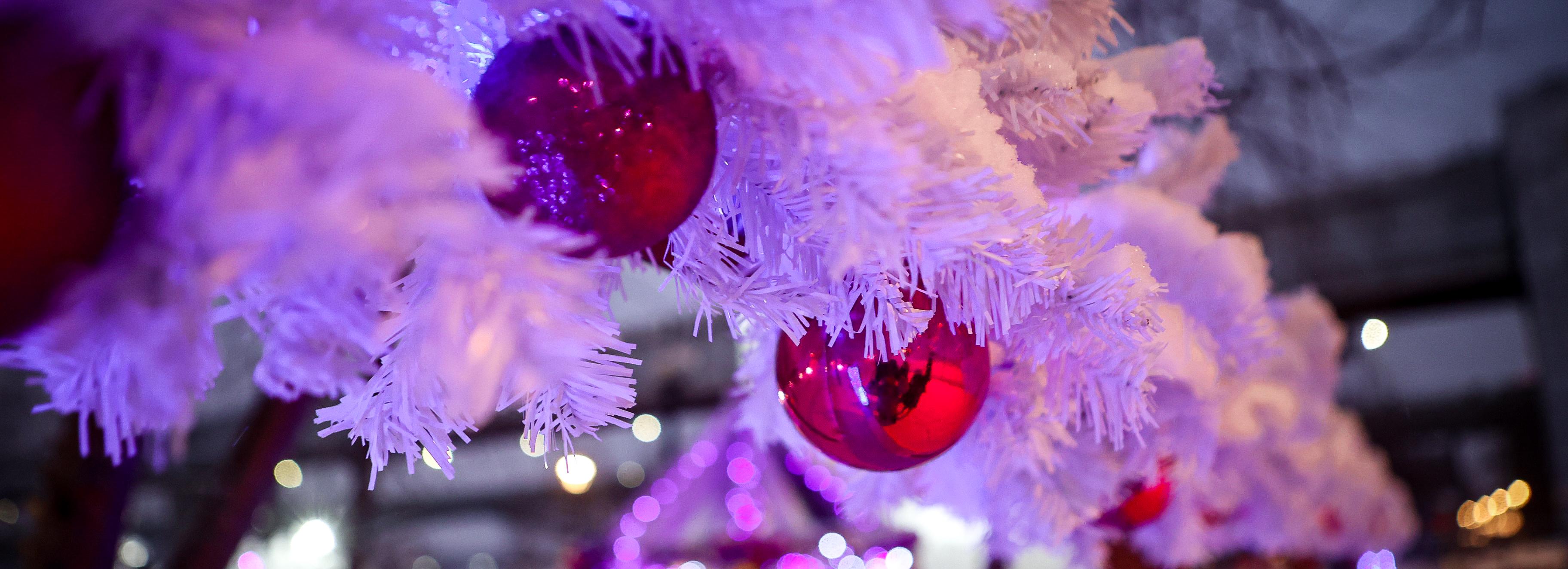 Стала известна цена билетов в ледовый городок на набережной Новосибирска