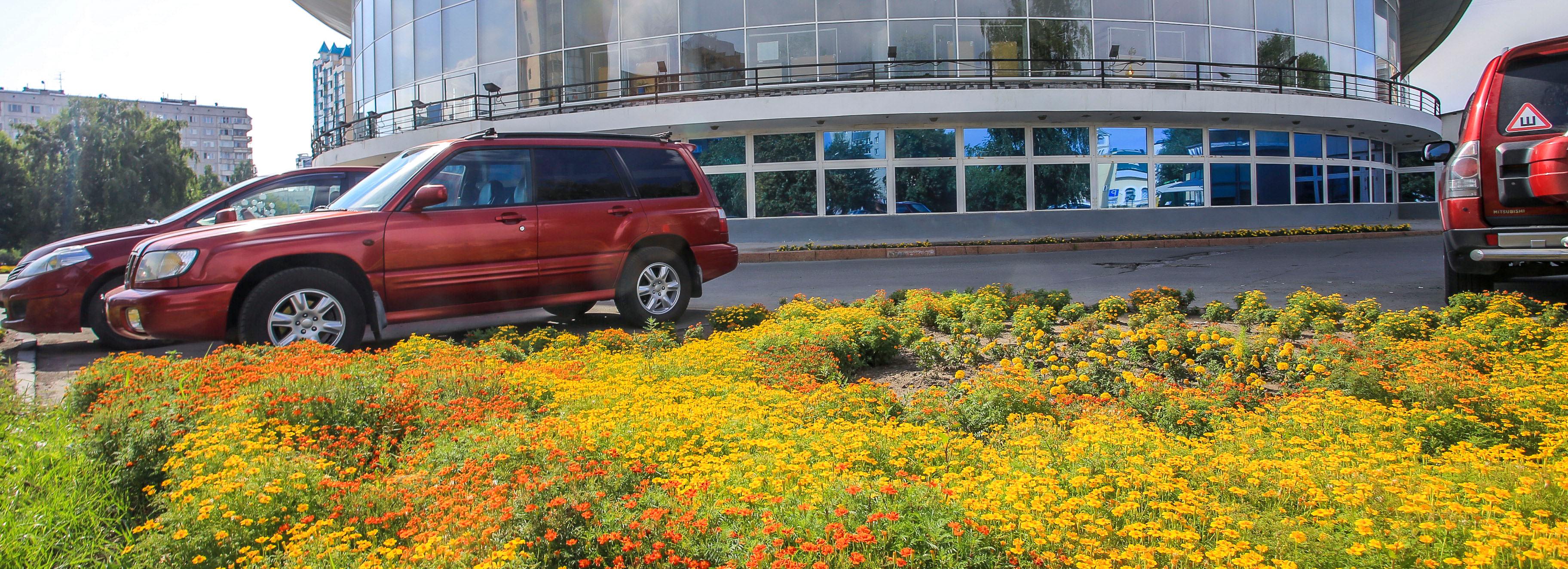 Площадь перед цирком в Новосибирске начали благоустраивать