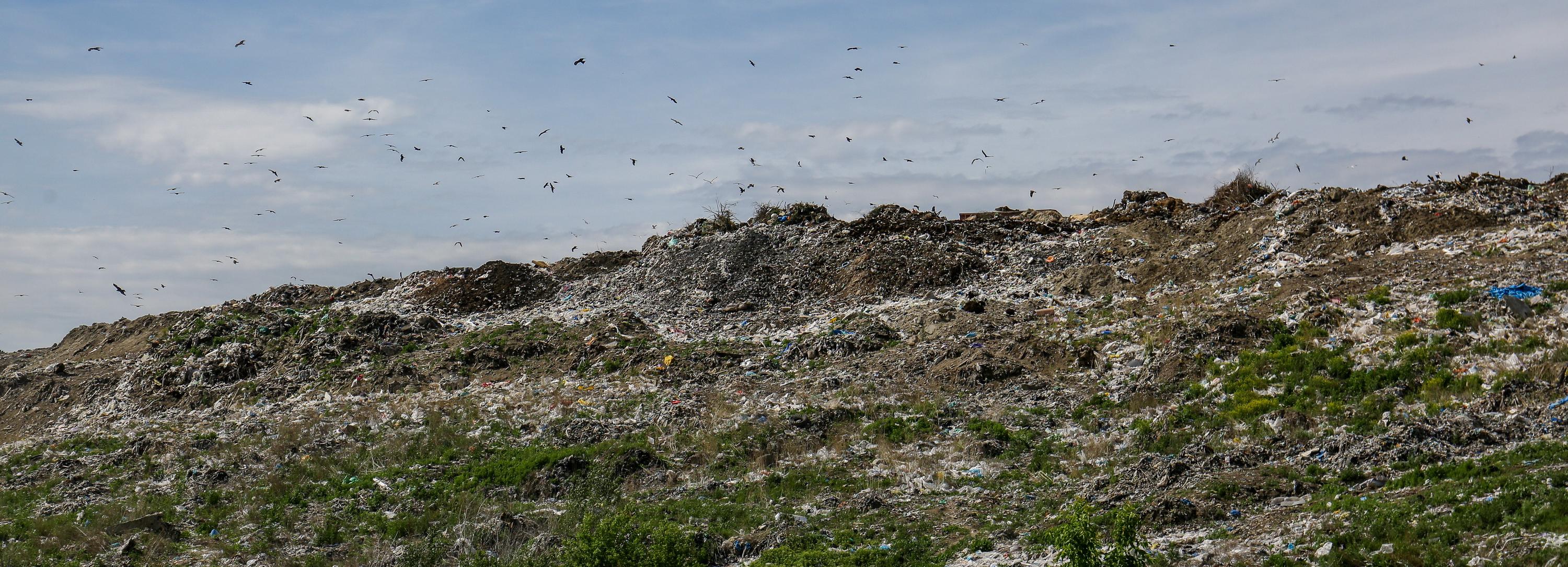 Мусоросжигательного завода под Новосибирском не будет — Андрей Травников