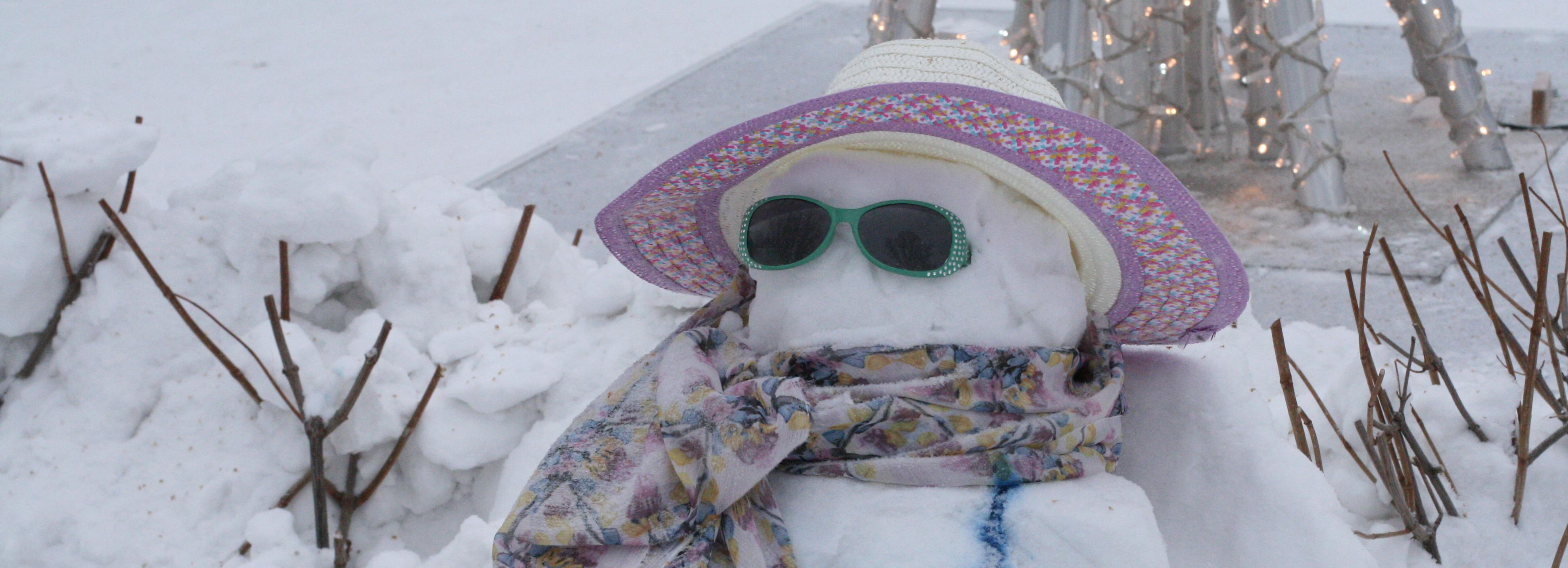 Новосибирск официально признали родиной снежных баб